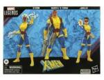 Hasbro Marvel Legends Series - X-Men 3-Pack Action Figure (Storm, Marvel's Forge & Jubilee) | Merch