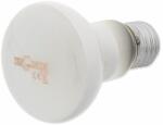 Repti Planet Daylight Frosted izzó 75W