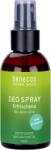 Benecos Natural Basics Frissítő dezodor spray - 75 ml