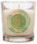 Flagolie Lumânare aromatică Refreshing - Flagolie Fragranced Candle Refreshing Peace 70 g
