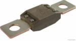 Herth+buss Elparts siguranta fuzibila HERTH+BUSS ELPARTS 50295845 (50295845) - automobilus