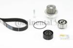 Continental Ctam Set pompa apa + curea dintata CONTINENTAL CTAM CT906WP1 (CT906WP1) - automobilus
