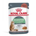 Royal Canin Digestive Care in sos 24x85 g hrana umeda pisici adulte, cu tract digestiv sensibil