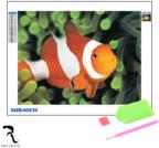 Rila Crafts Диамантена мозайка - гоблен Rila Crafts, 30х40см, Немо - риба клоун (R1-12I) - technomani