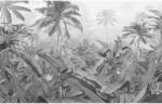 Komar amazónia fekete-fehér fényképfreskó 400 x 250 cm (434229)