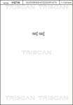 TRISCAN Set surub, disc frana TRISCAN 8105 116012