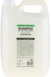 Stapiz Șampon Lăcrămioară - Stapiz Basic Salon Shampoo Lily Of The Valley 5000 ml