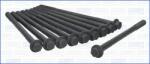 AJUSA Set surub, chiulasa AJUSA 81021200 (81021200)