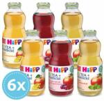 HiPP Bio Gyümölcslevek teával 4 hó+ 500 ml - csomagajánlat (6x)