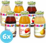 HiPP Bio Gyümölcslevek 4 hó+ 200 ml - csomagajánlat (6x)