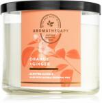 Bath & Body Works Orange & Ginger 411 g