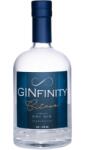  GINfinity Citrus Gin 0, 5L 41% - bareszkozok