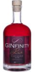  GINfinity Pink Gin 0, 5L 40, 45% - bareszkozok