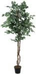 EUROPALMS Variegated Ficus mesterséges növény 180cm (82506116)