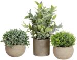 EUROPALMS Asztali növények cserepekben mesterséges növény 3 darabos készlet (82600300)