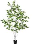EUROPALMS Nyírfa műfenyő 150cm mesterséges növény 150cm (82505230)
