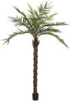 EUROPALMS Kentia pálmafa deluxe mesterséges növény 300cm (82511370)