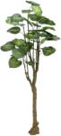 EUROPALMS Pothos fa mesterséges növény 175cm (82600163)