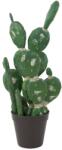 EUROPALMS Vegyes kaktuszok mesterséges növény zöld 54cm (82803104)