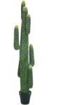 EUROPALMS mexikói kaktusz műnövény zöld 173cm (82801073)