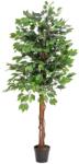 EUROPALMS Fikusz fa több törzsű műnövény 150cm (82506125)