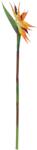 EUROPALMS Paradicsommadár spray, műnövény, narancssárga, 95cm (82530559)