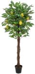 EUROPALMS citromfa műnövény 150cm (82507815)