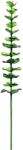 EUROPALMS Kristály eukaliptusz műnövény zöld 81cm 12x 12x (82600200)