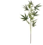 EUROPALMS Cannabis-spra textil 90cm (82506699)