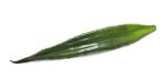EUROPALMS Aloe levél (EVA) mesterséges zöld 60cm (82530581)