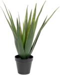 EUROPALMS Aloe vera növény mesterséges növény 60cm (82600167)
