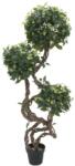 EUROPALMS Ficus spirál törzs műnövény 160cm (82501563)
