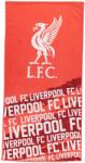 Team Хавлиена кърпа Team Impact Towel - Liverpool