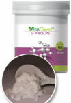 VitalTrend Vital Trend L-Prolin por (100g)