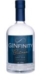  GINfinity Citrus Gin 0, 5L 41% - ginshop