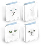 Pigna Gumis mappa Pigna Monocromo White A/4 (02309133L) - papir-bolt