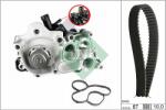 Schaeffler INA Set pompa apa + curea dintata Schaeffler INA 530 0742 30 (530 0742 30)