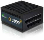 EVOLVEO G1000 PCIe 5.0 1000W 80+ Gold (EG1000R)