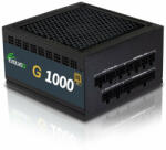 EVOLVEO G1000 PCIe 5.0 1000W 80 PLUS Gold (EG1000R)