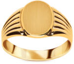 Heratis Forever Arany pecsétgyűrű mattítással IZ22445