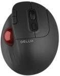 Delux MT1-BK Mouse