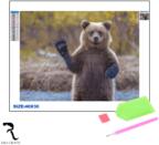 Rila Crafts Диамантена мозайка - гоблен Rila Crafts, 30х40см, Мечка (R1-12Q) - technomani