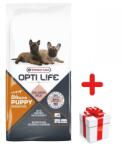 Versele-Laga Versele-Laga Opti Life Puppy Sensitive Lazac rizzsel 12, 5kg + MEGLEPETÉS A KUTYÁDNAK