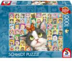 Schmidt Spiele 1000 db-os puzzle - Cat mimic (59759) (59759)