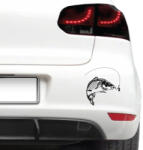 4 Decor Sticker auto - Crap