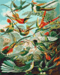 Brushme Set pictura pe numere, cu sasiu, Regatul zburatoarelor, 40x50 cm (BS52199) Carte de colorat