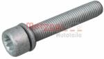 METZGER Surub, etrier METZGER 6250007S (6250007S) - automobilus