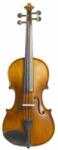 Stentor Graduate 4/4 Vioară acustică (SR1542A)