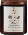 Bosphaera Lumânare parfumată din soia Raspberry Delight - Bosphaera Raspberry Delight Candle 190 g
