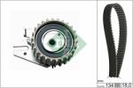 Schaeffler INA Set curea de distributie Schaeffler INA 530 0221 10 (530 0221 10)